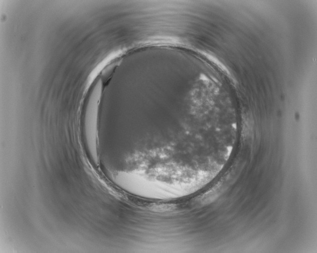 X0000085221325200704091922