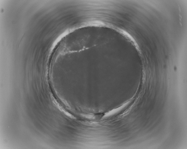 X0000085221326200704091922