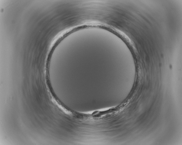 X0000085221327200704091922