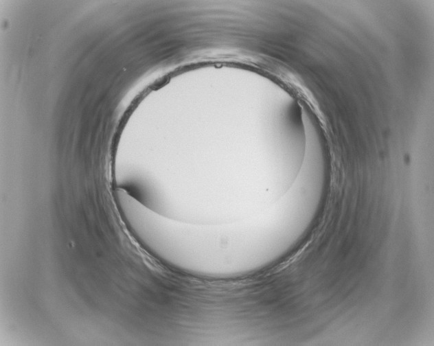 X0000085221328200704091922