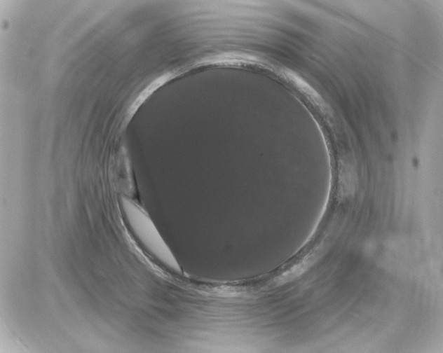 X0000085221329200704091922