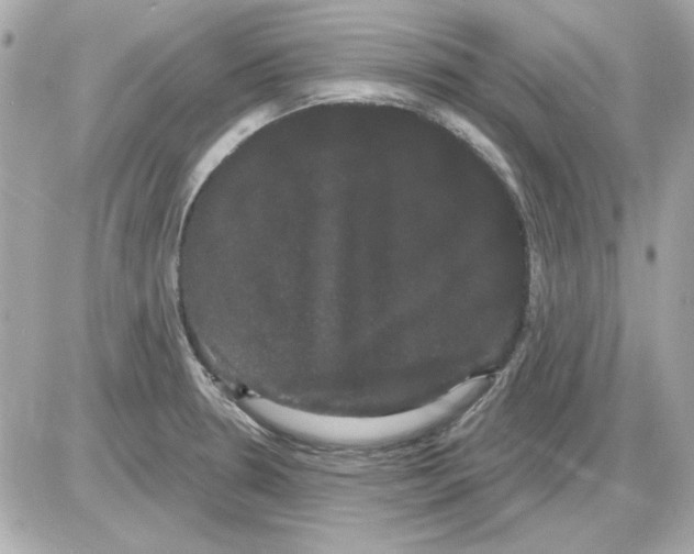 X0000085221330200704091922