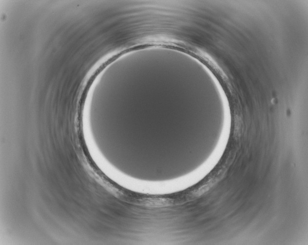 X0000085221331200704091922