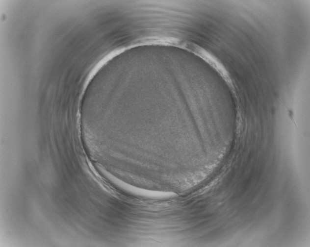 X0000085221332200704091922