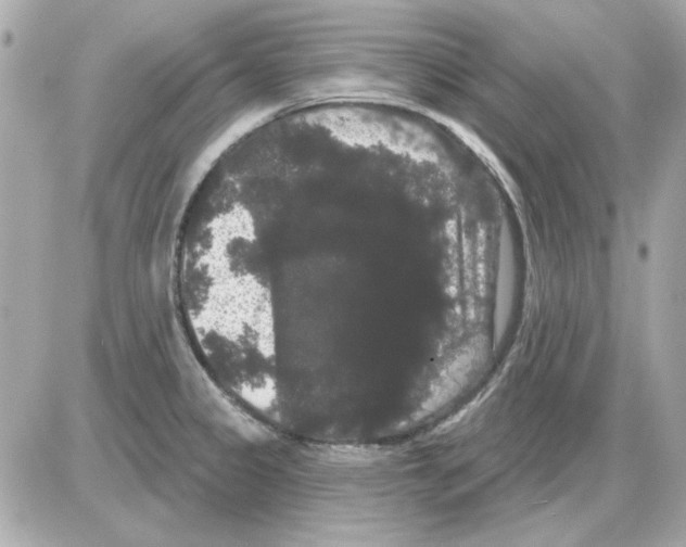 X0000085221333200704091922