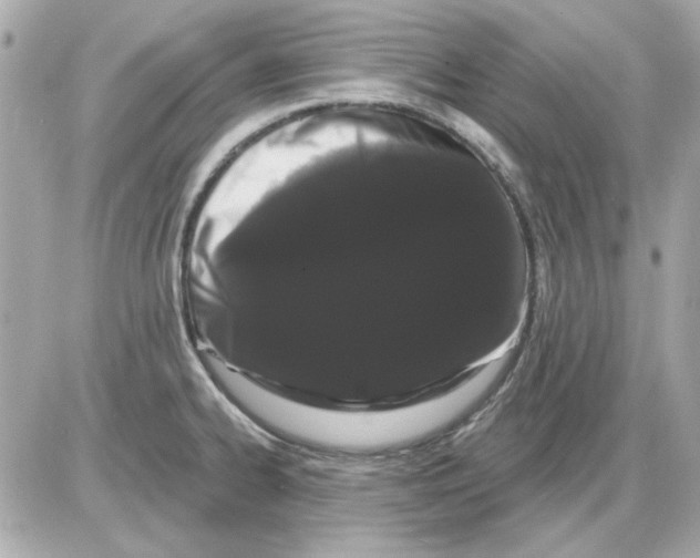 X0000085221334200704091922