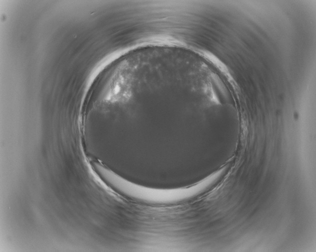 X0000085221335200704091922