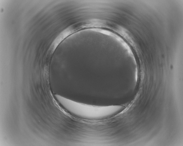 X0000085221337200704091922