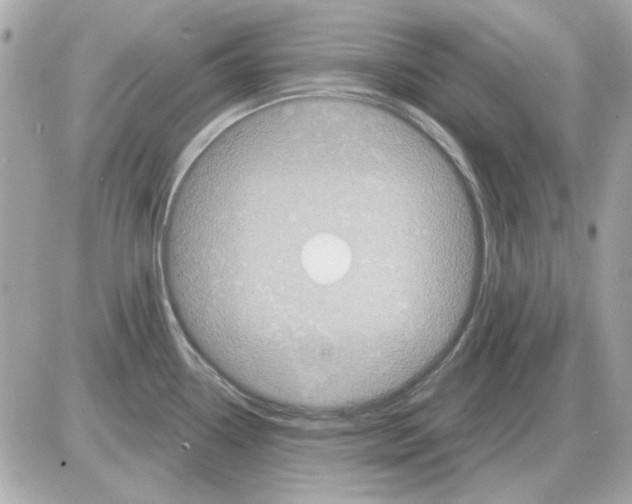 X0000085221338200704091922