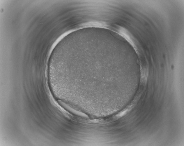 X0000085221339200704091922