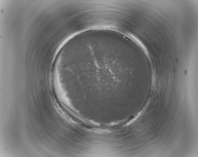 X0000085221340200704091922