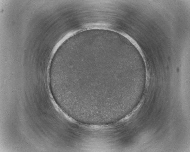 X0000085221341200704091922