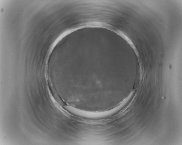 X0000085221342200704091922