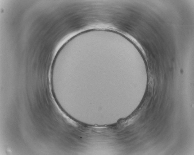 X0000085221343200704091922