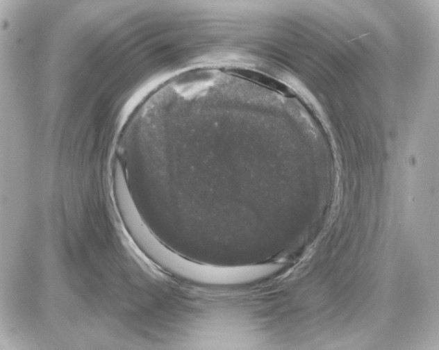 X0000085221344200704091922