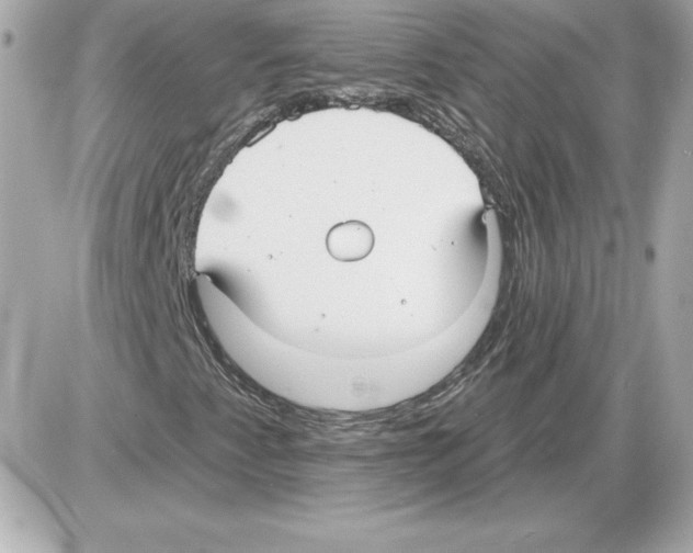 X0000085221345200704091921