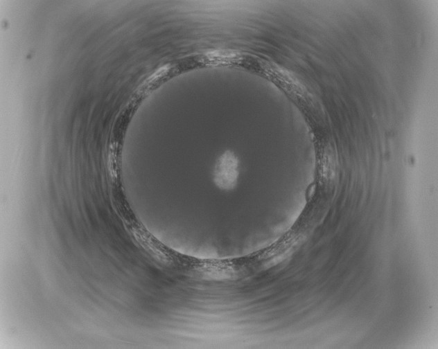 X0000085221346200704091921