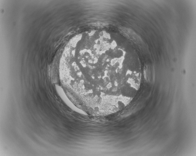 X0000085221347200704091921