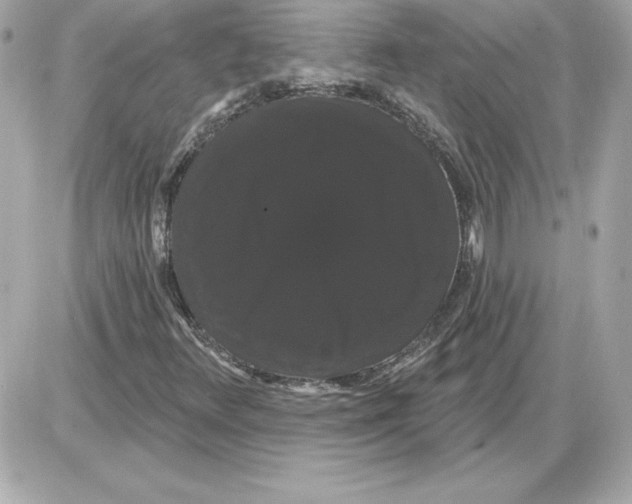 X0000085221348200704091921