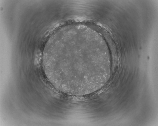 X0000085221349200704091921