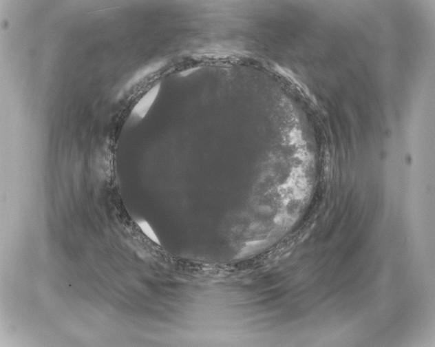 X0000085221350200704091921