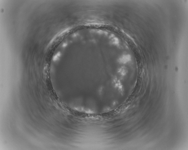 X0000085221351200704091921