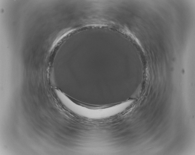 X0000085221352200704091921