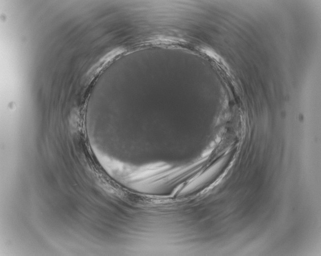 X0000085221353200704091921