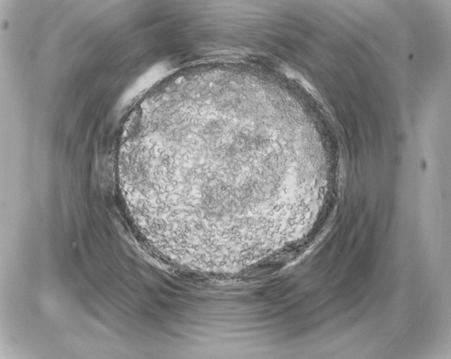 X0000085221354200704091921