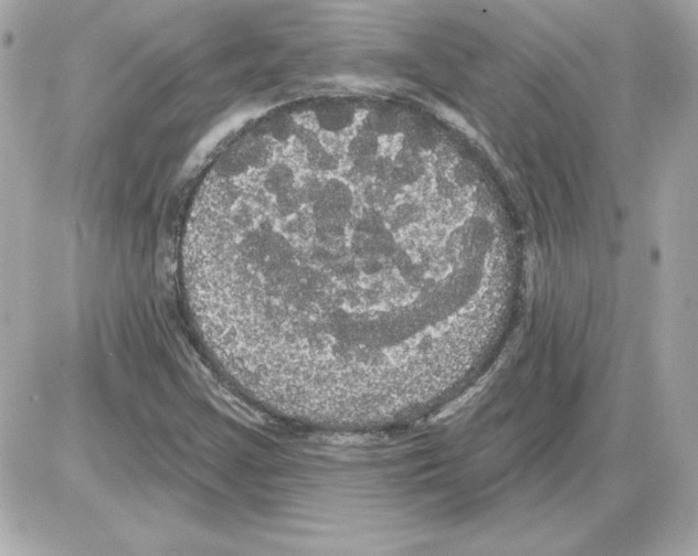 X0000085221355200704091921