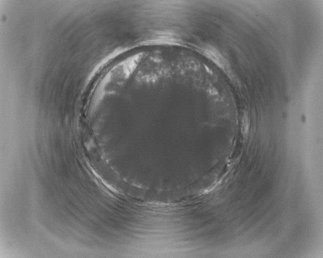 X0000085221356200704091921