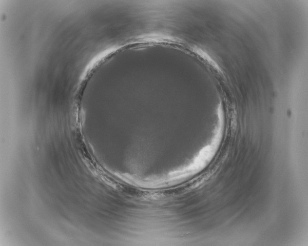 X0000085221358200704091921