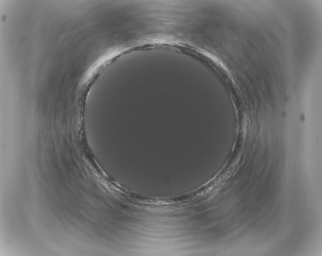 X0000085221359200704091921