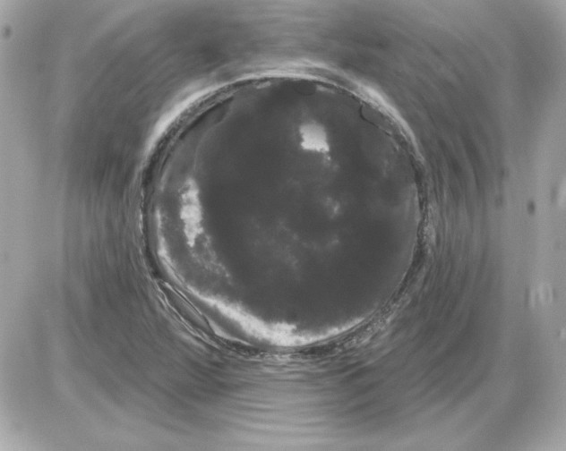 X0000085221360200704091921