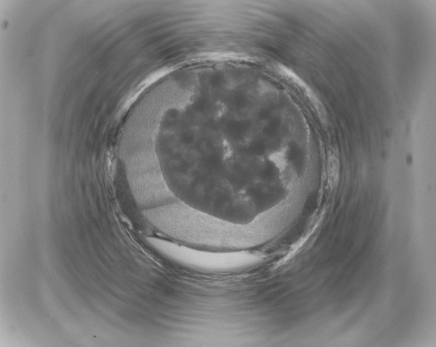 X0000085221361200704091921