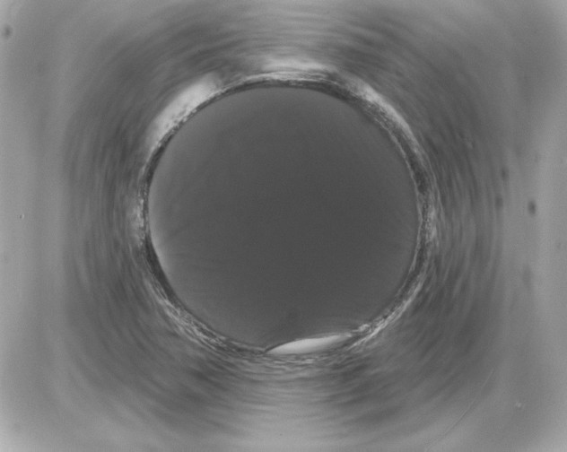 X0000085221362200704091921