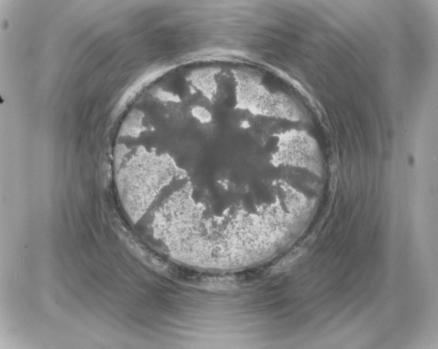 X0000085221363200704091921