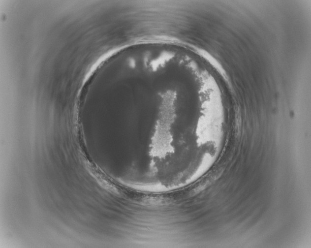 X0000085221364200704091921