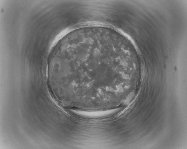 X0000085221365200704091921