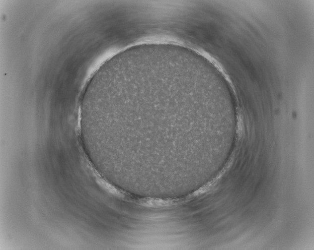 X0000085221366200704091921