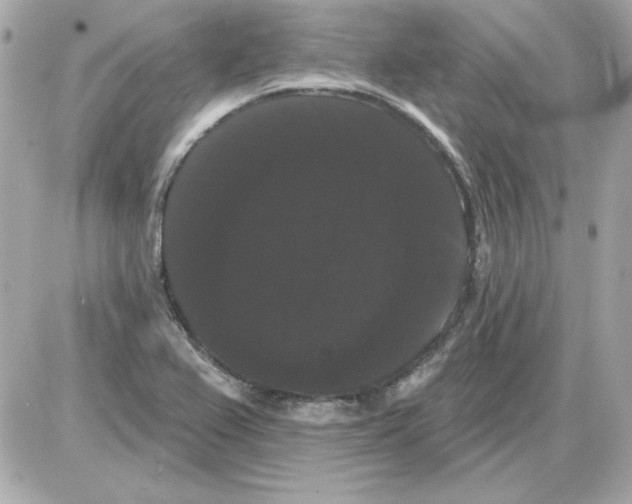 X0000085221367200704091921