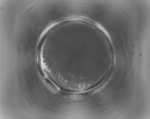 X0000085221368200704091921