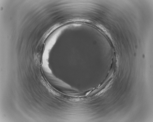 X0000085221369200704091921