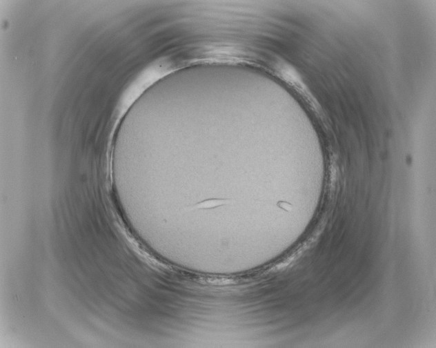 X0000085221370200704091921