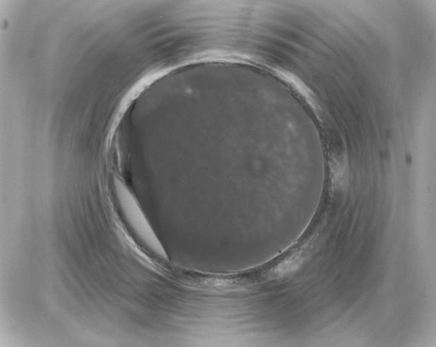 X0000085221371200704091921