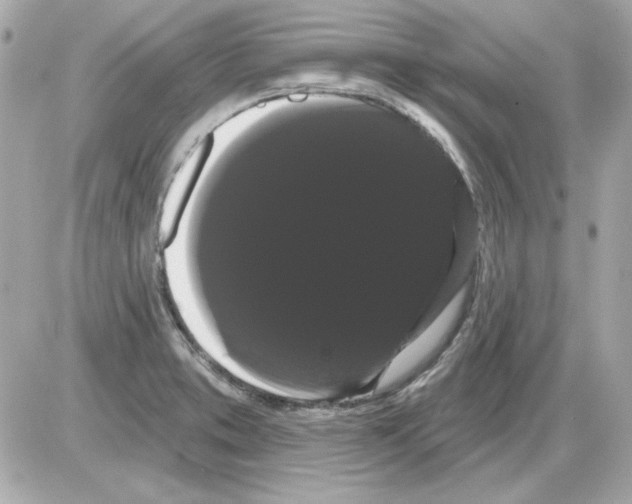 X0000085221373200704091921