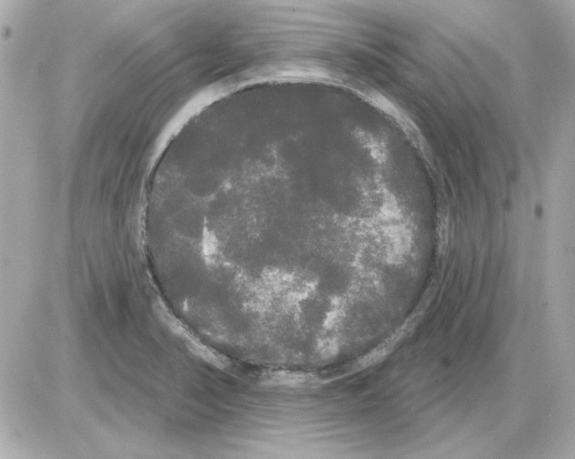 X0000085221374200704091921