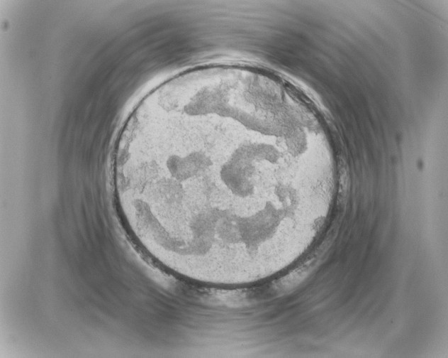 X0000085221375200704091921