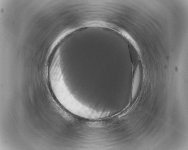 X0000085221376200704091921