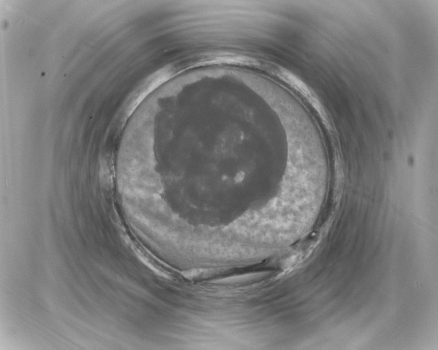 X0000085221377200704091921